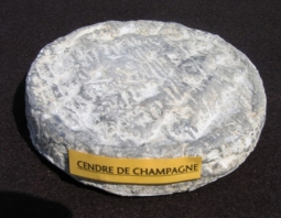 Fromages du monde - Cendré de Champagne